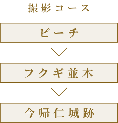 撮影